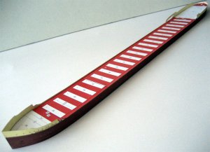 19.JPG