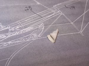 100_3125.JPG