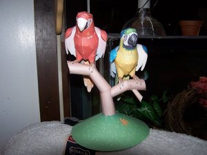 parrots.jpg
