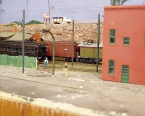 small yard.jpg