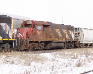 7510.jpg