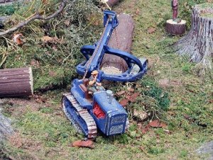 mfox08a.jpg
