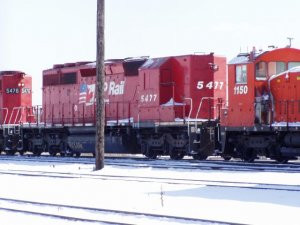 p2250046.jpg