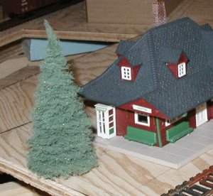 station se side hq tree close-up.jpg