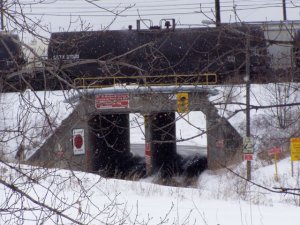 tunnel cp yards.jpg