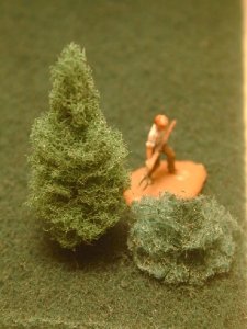my first tree 2 sm.jpg