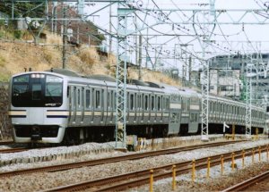 e21730suka.jpg