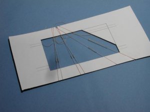 Triaconteris_020.jpg