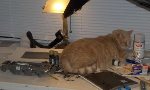 1_1  Kat half.jpg