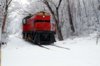 7135snocc2a.jpg