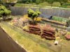 Yard-10g.jpg