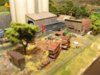 Yard-5.jpg