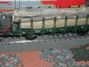 5584z.jpg