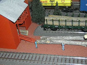 5592z.jpg