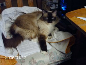 PICT0081.JPG