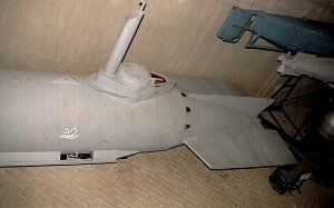 molch04.jpg