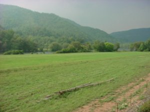 field3thegauge.jpg