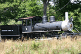IMG_1198.gif