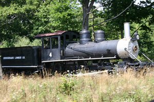 IMG_1198.jpg