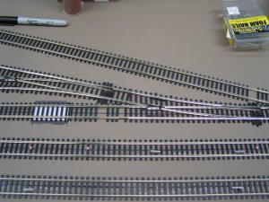 P1010135.JPG
