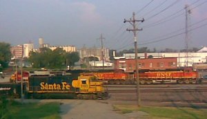 yard.jpg