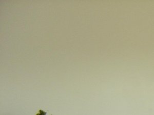 91607 010.jpg