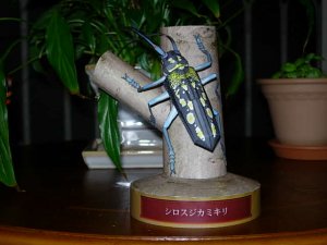 DSCN3961.JPG