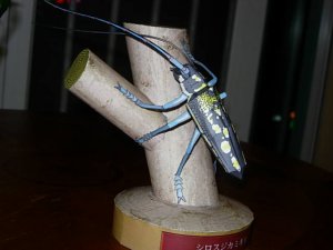 DSCN3962.JPG