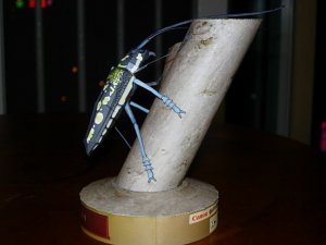 DSCN3963.JPG