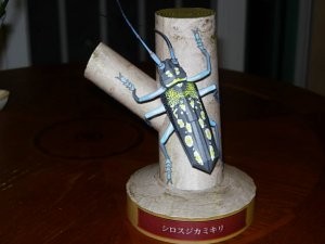 DSCN3968.JPG