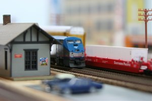 IMG_2559.jpg