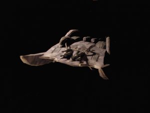heavy raider 009a.jpg