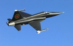 MiG-283.JPG