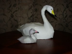 DSCN4032.JPG