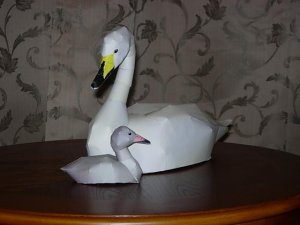 DSCN4034.JPG
