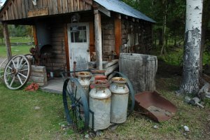 DSC_0203.JPG