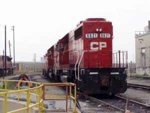 Yard tour with the star 039.jpg