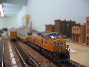 IMG_2584.jpg
