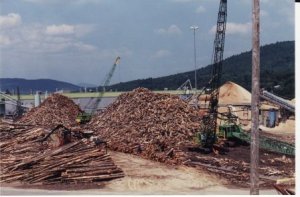 Raw Materials 00010.jpg