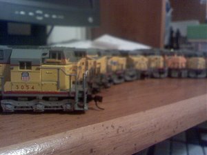 1029072305a.jpg