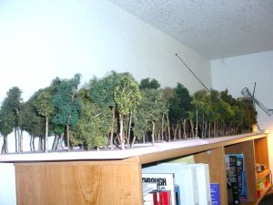 trees 2.JPG