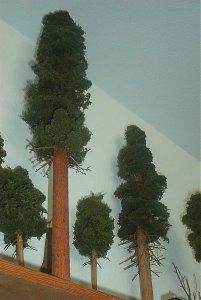 IM000458.jpg