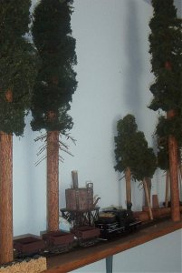 IM000456.jpg