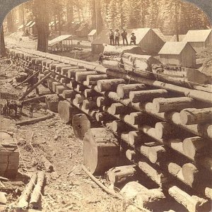 SkidRoadTrestle_inSierras_CA_copy.jpg