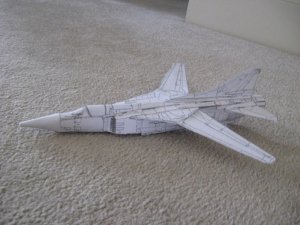 IMG_0174.jpg