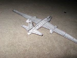 IMG_0341.jpg