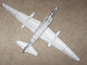 IMG_0342.jpg