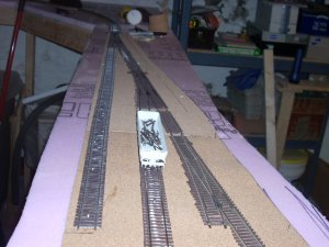 DSCN0331.JPG