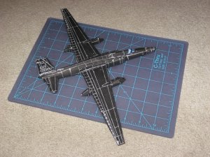 IMG_0344.jpg