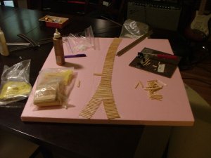 DSCF5503.JPG